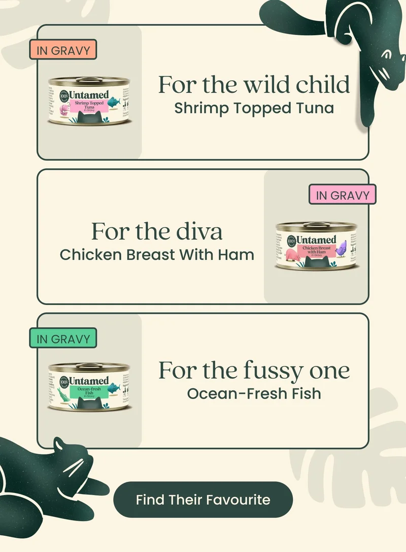 Find Their Favourite