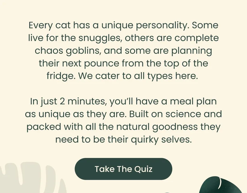 Take The Quiz