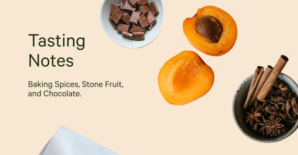 Tasting Notes: This one’s truly fall in a mug.   You’ll taste:&nbsp;Baking Spices, Stone Fruit, and Chocolate.