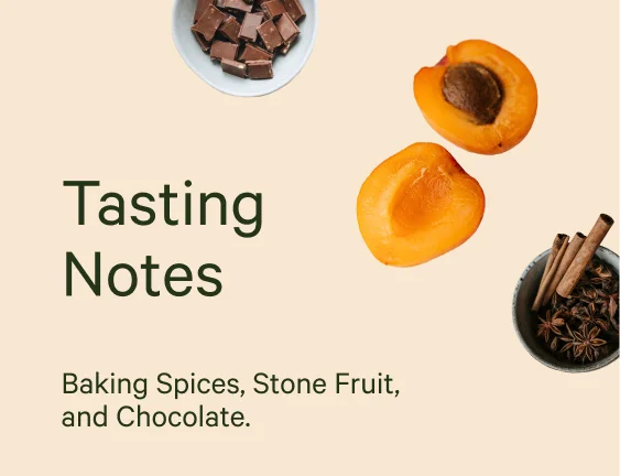 Tasting Notes: This one’s truly fall in a mug. You’ll taste:&nbsp;Baking Spices, Stone Fruit, and Chocolate.