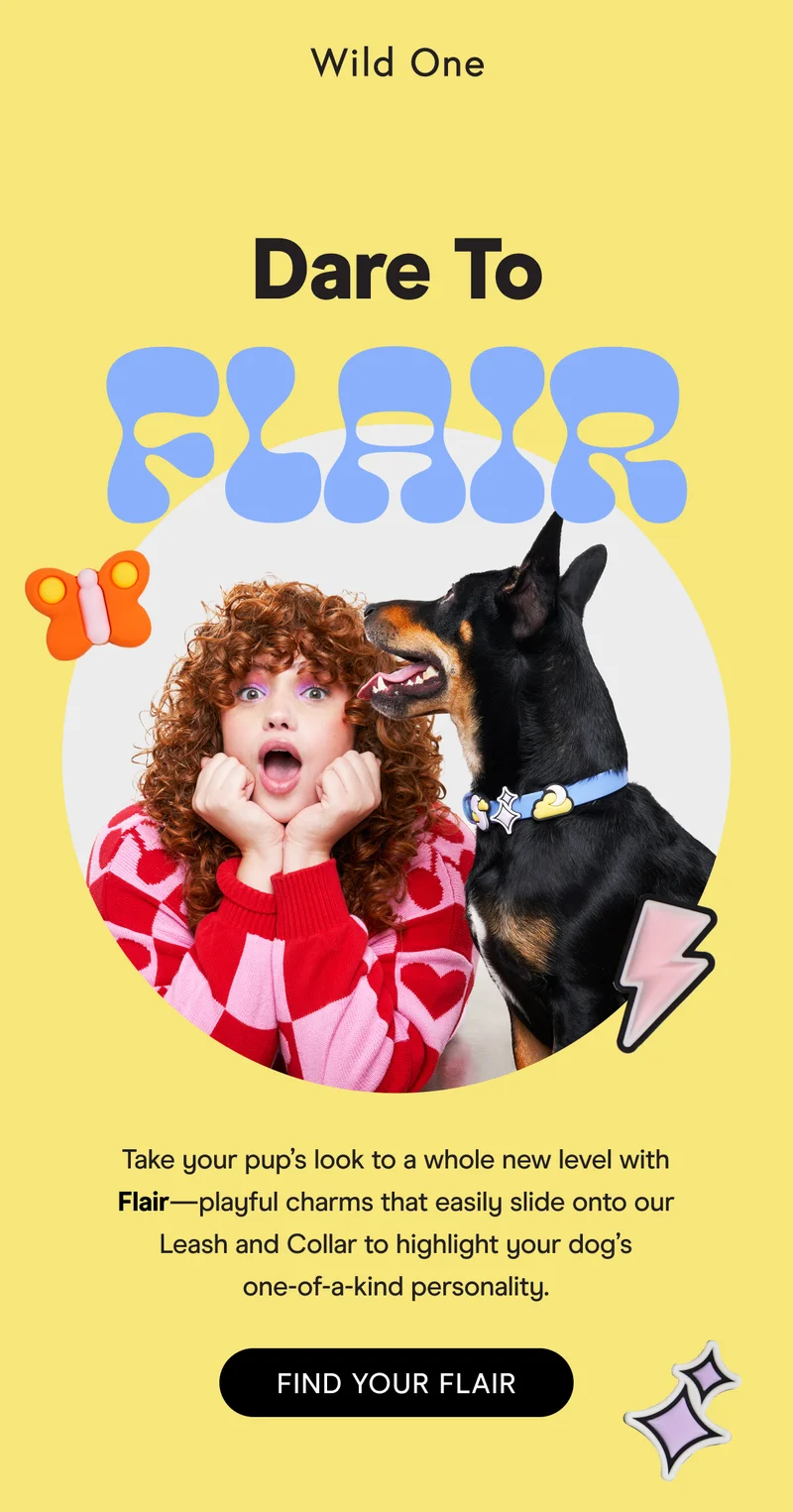 NEW! Meet Flair