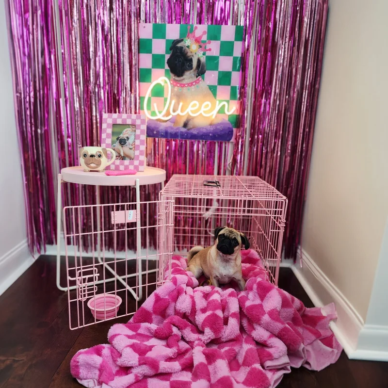 Image of Personalized Canvas Print with Neon Custom Text - Dog