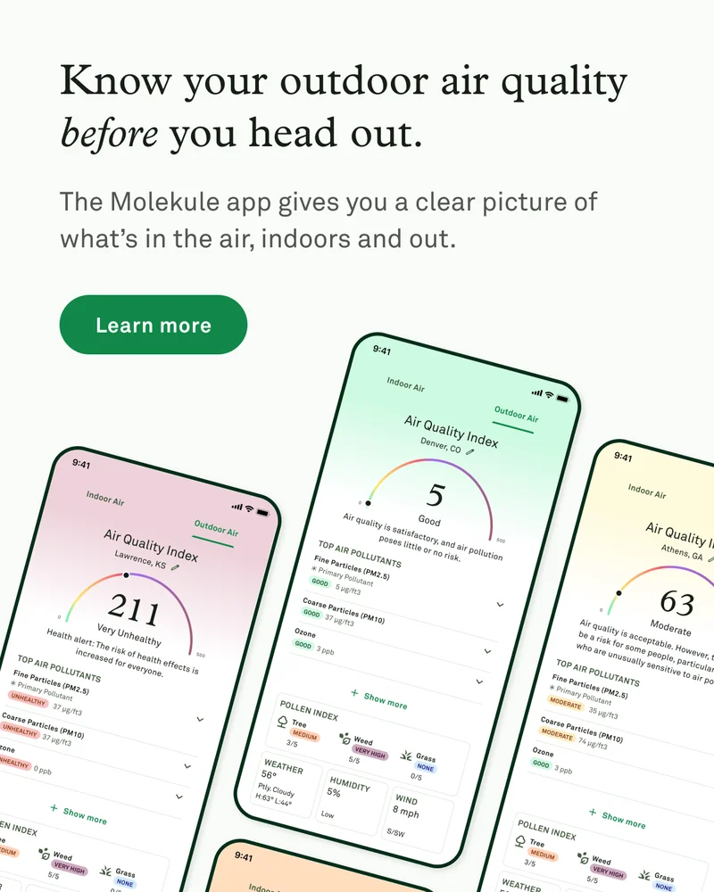 The Molekule App - Know your outdoor air quality before you head out