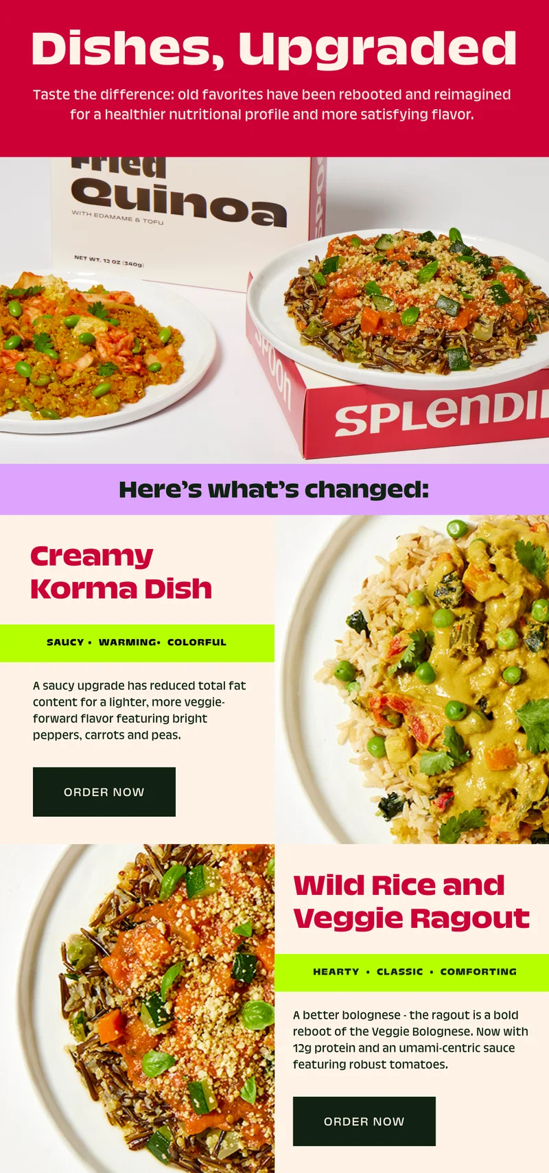 Creamy Korma & Wild Rice Ragout