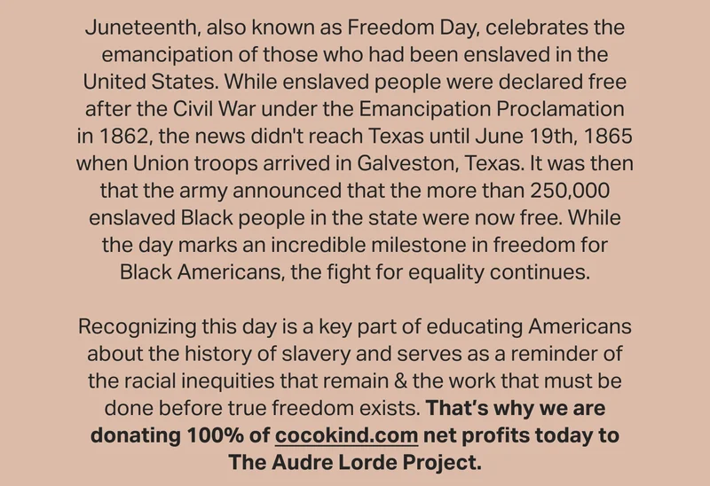 In honor of Juneteenth, we are donating 100% of today’s online net profits to The Audre Lorde Project.