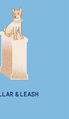 Collar & Leash