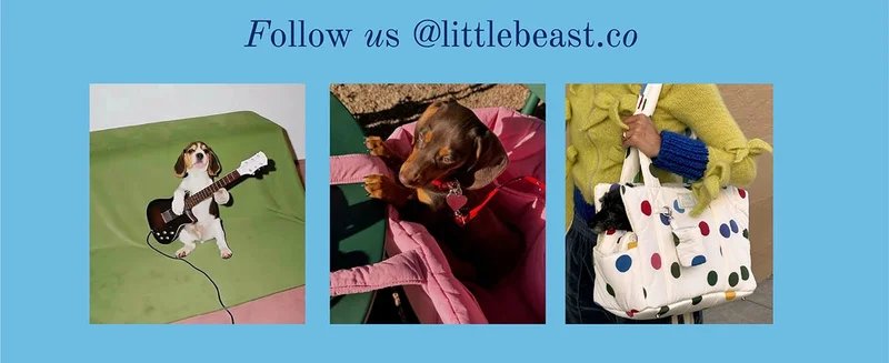 Follow us on Instagram