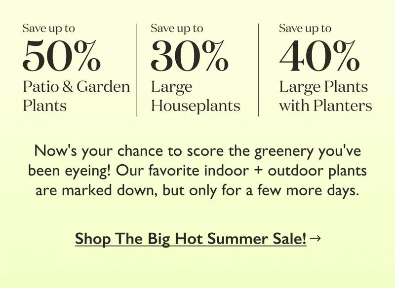 Now's your chance to score the greenery you're been eyeing! Our favorite indoor and outdoor plants are marked down, but only for a few more days.