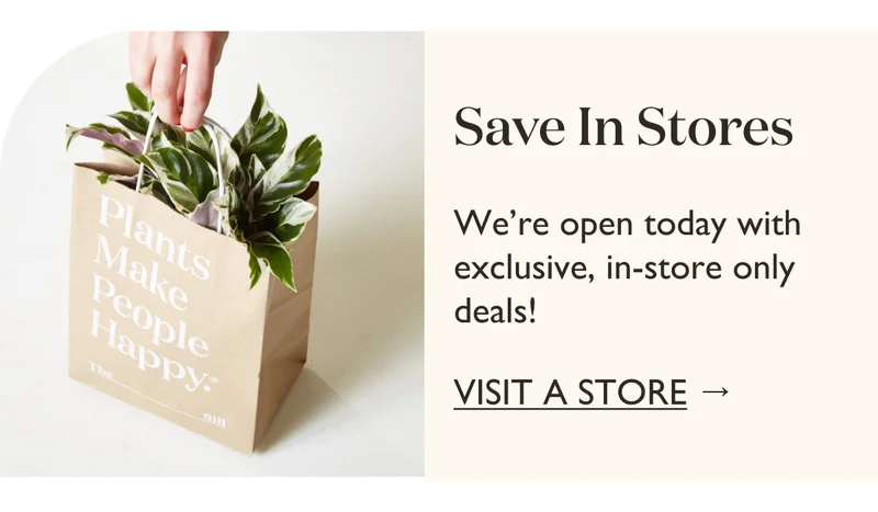 We're open today with exclusive, in-store only deals! Visit a store today.