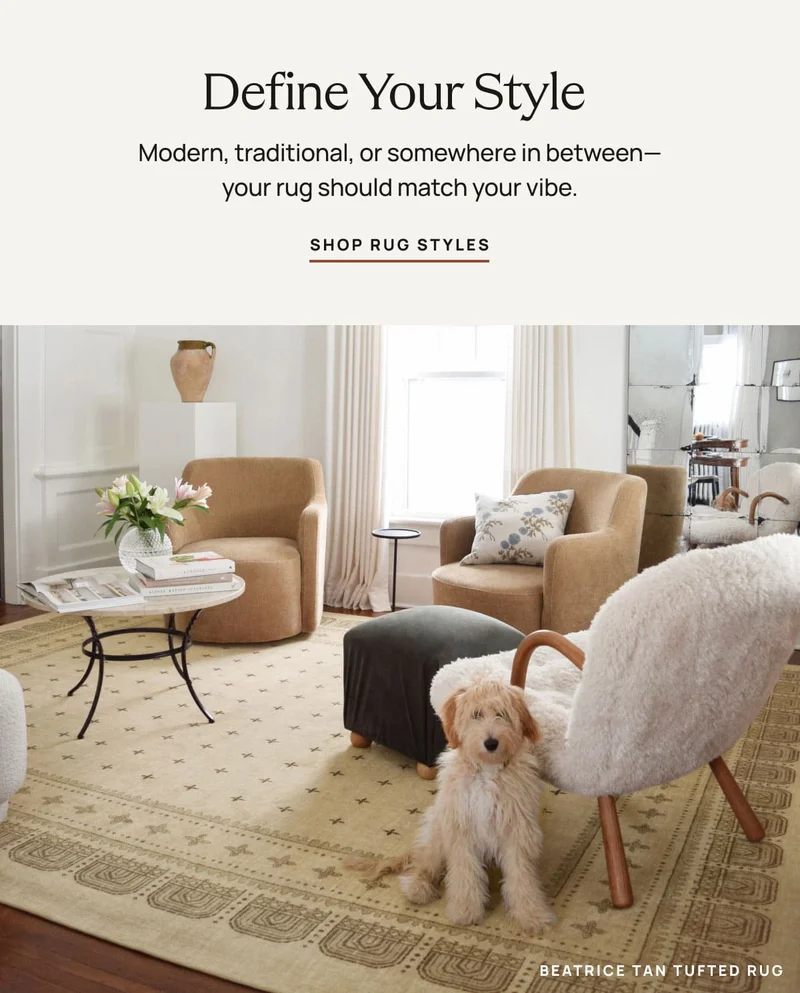 Shop Rug Styles