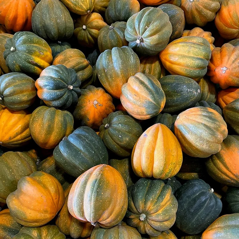Acorn Squash