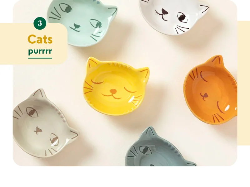 cat-lovers