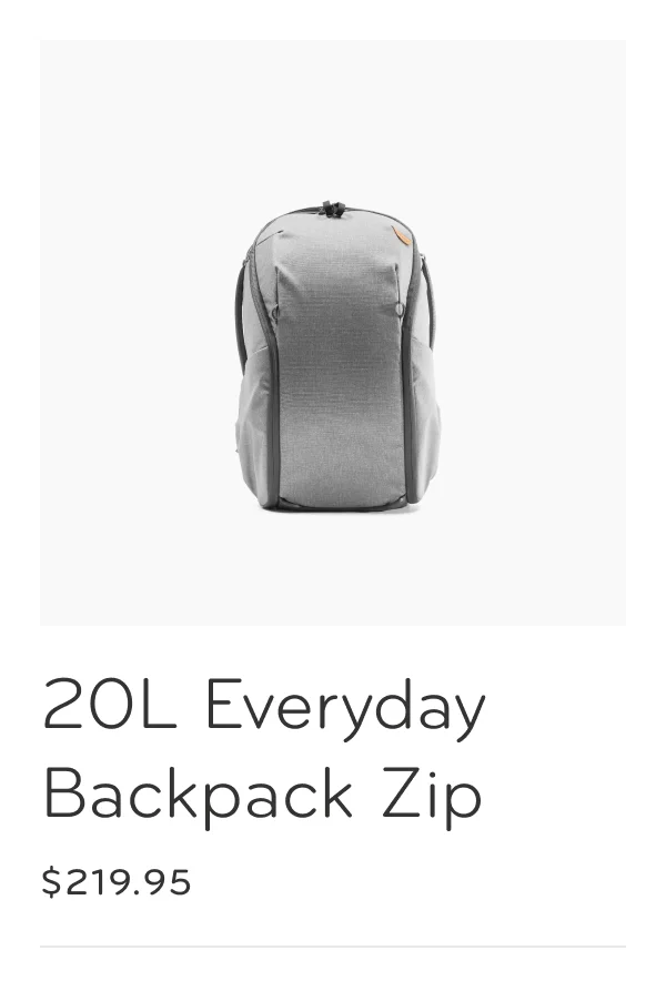 20L Everyday Backpack Zip