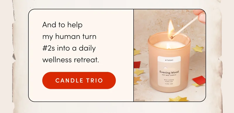 CANDLE TRIO