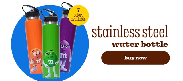 STAINLESS STEEL WATER BOTTLE