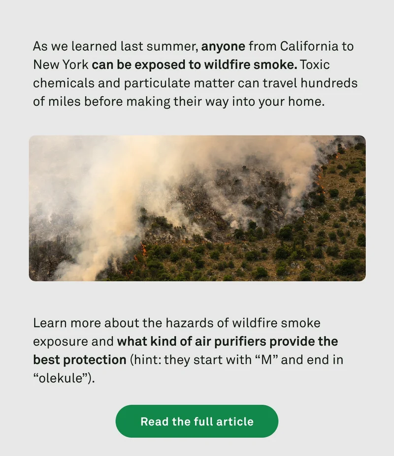 What's the best purifier for smoke? Read the full article