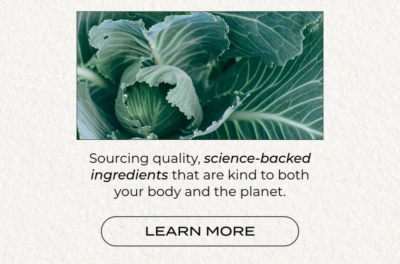 INGREDIENTS THAT ARE KIND TO BOTH YOUR BODY AND THE PLANET.