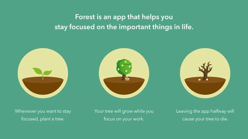 A green background with three circles showing a newly planted tree, a full-sized tree, and a dead tree.