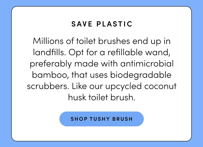 SHOP TUSHY BRUSH