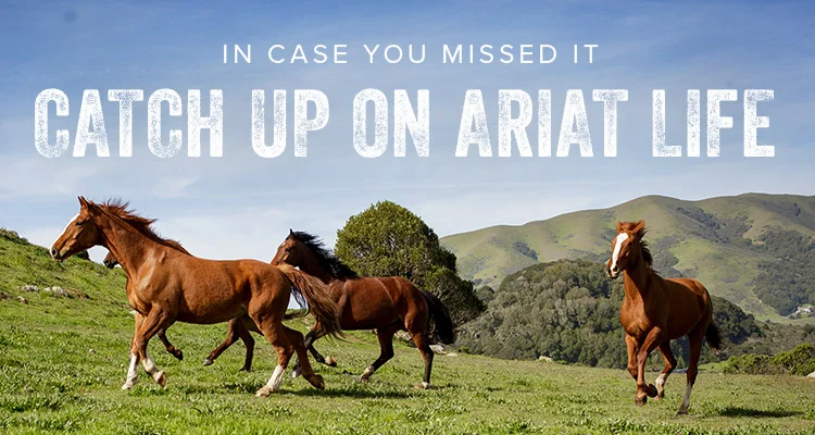 CATCH UP ON ARIAT LIFE
