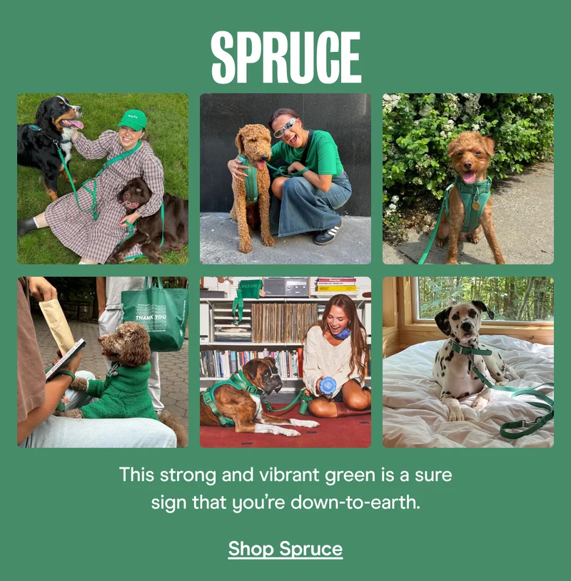 Shop Spruce