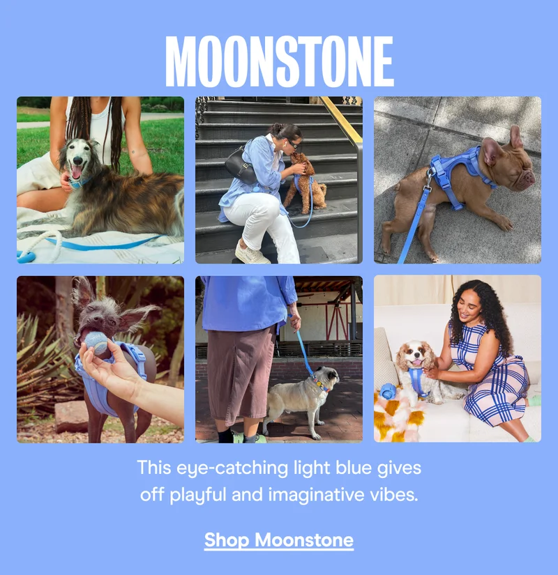 Shop Moonstone