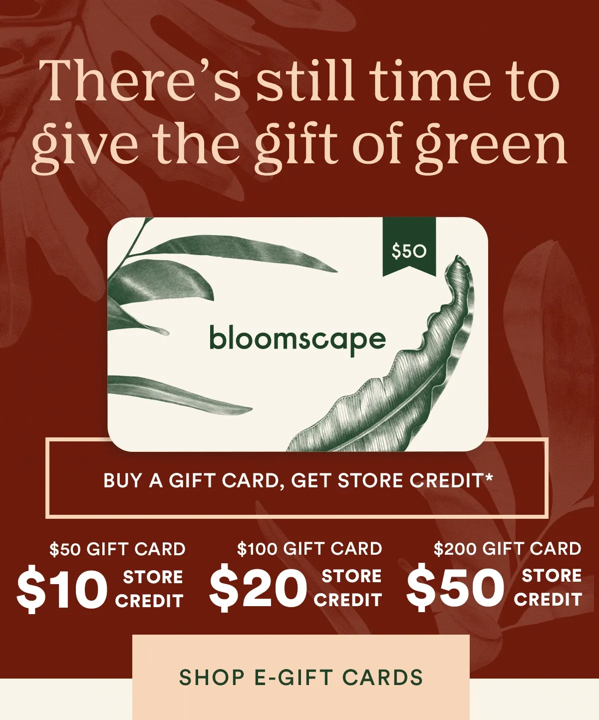 Buy a Gift Card, Get Store Credit