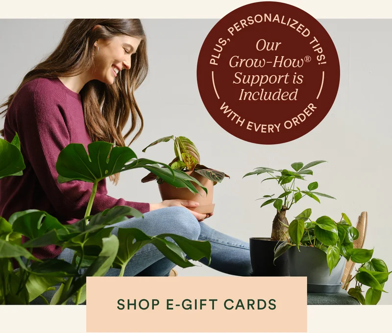 Grow-How Support is included with every order
