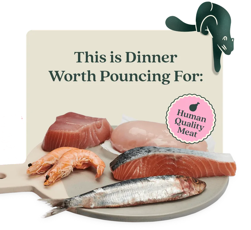 This is Dinner Worth Pouncing For: