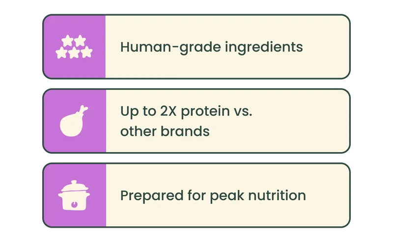 Human-grade ingredients, Up to 2X protein vs. other brands, Prepared for peak nutrition