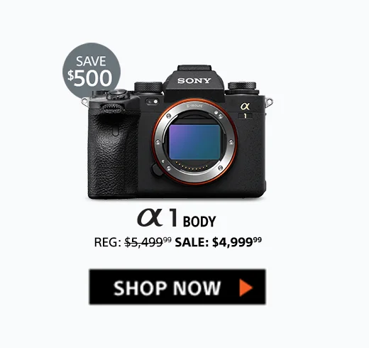 Save $500: Alpha 1 Body