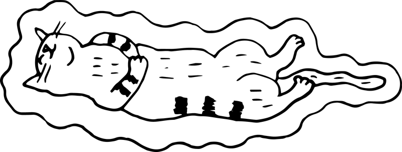 A line drawing of a cat levitating