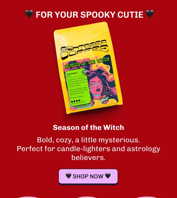 For your spooky cutie: Season of the Witch Blend. Bold, cozy, a little mysterious. Perfect for candle-lights and astrology believers. Shop Now!