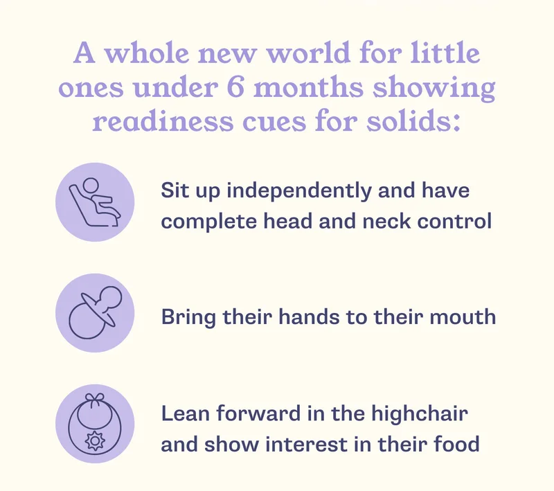 A whole new world for little ones under 6 months showing readiness cues for solids: ✔️ Sit up independently and have complete head and neck control   ✔️ Bring their hands to their mouth   ✔️ Lean forward in the highchair and show interest in their food