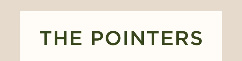 THE POINTERS