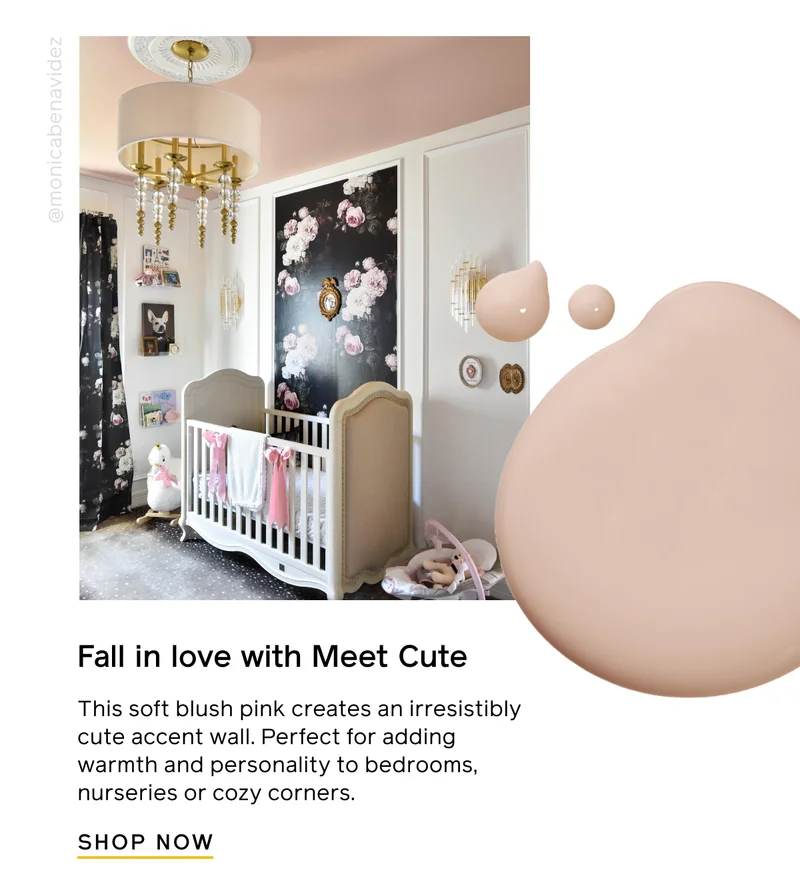 Fall in love with Meet Cute. This soft blush pink creates an irresistibly cute accent wall. Perfect for adding warmth and personality to bedrooms, nurseries or cozy corners. SHOP NOW