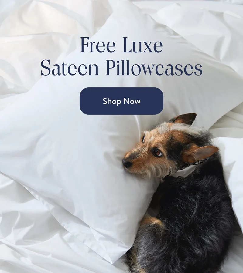 Free Luxe Sateen Pillowcases