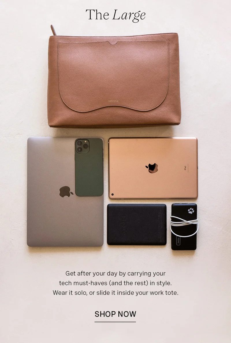 The Large Pochette
