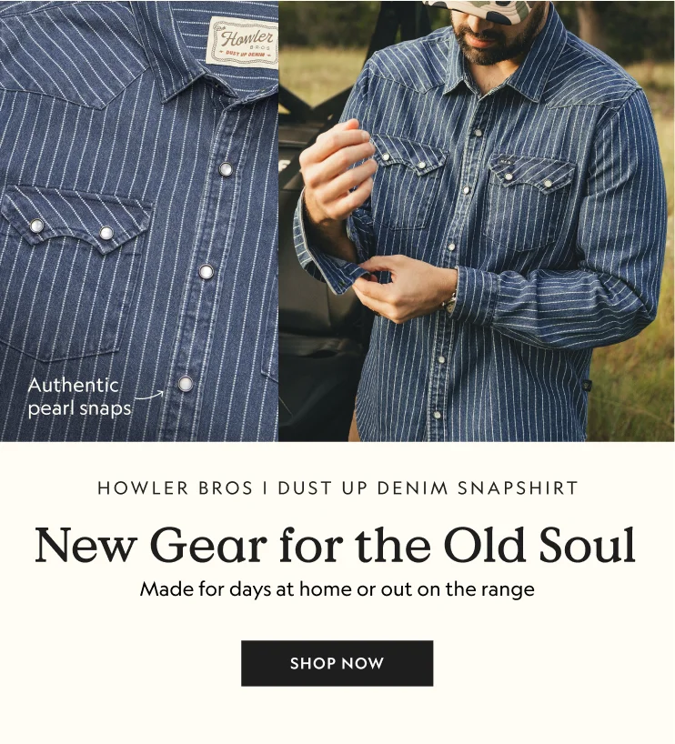 Dust Up Denim Snapshirt