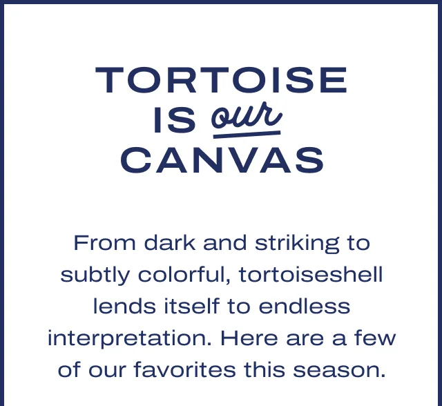 Tortoise is our canvas