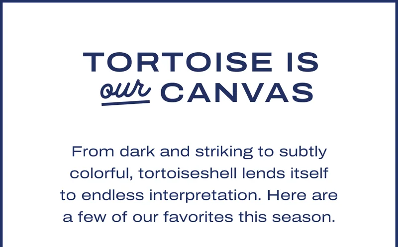 Tortoise is our canvas