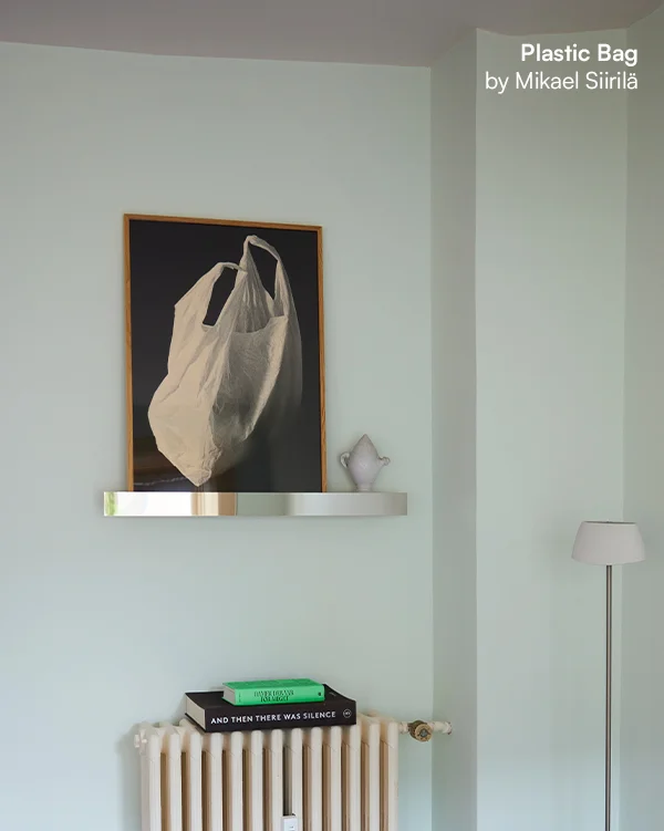 Plastic Bag