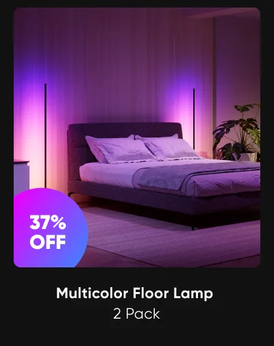 Multicolor Floor Lamp