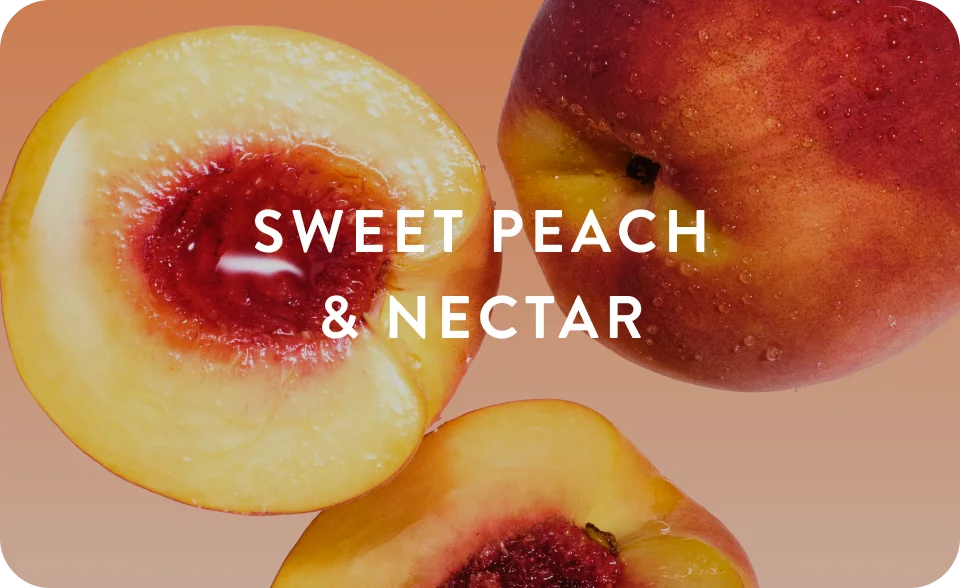 sweet peach and nectar