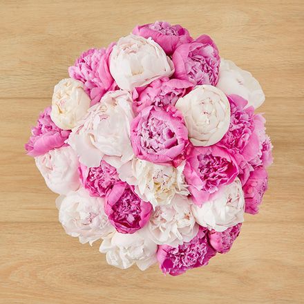 25 Farmers Choice Peonies Bouq