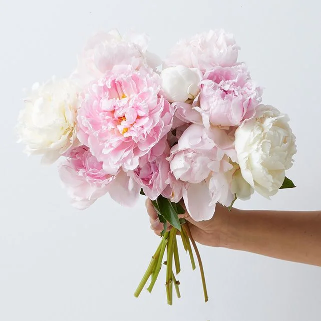 Farmers Choice Peonies Bouq