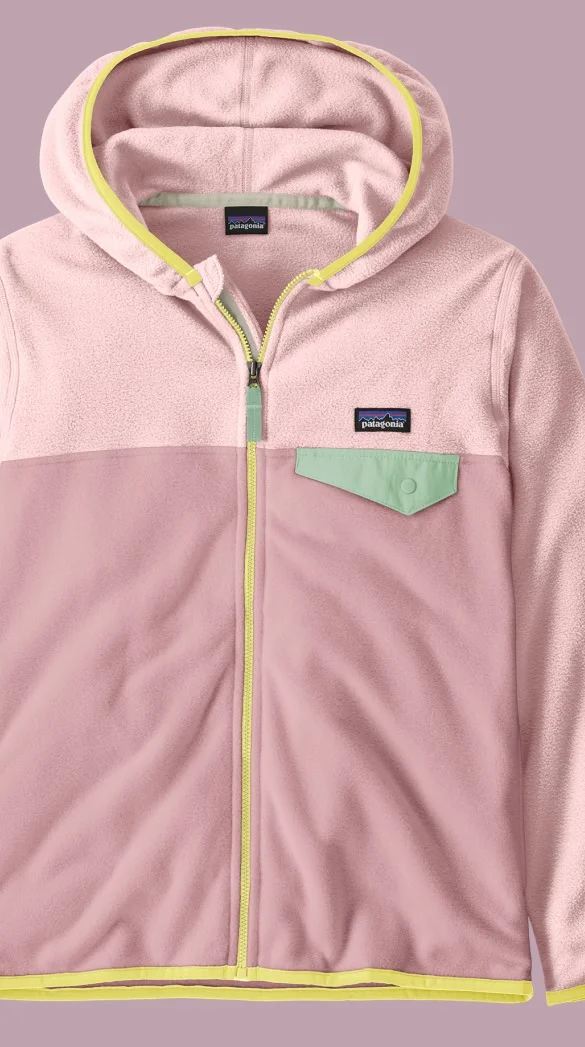 Kids’ Micro D Snap-T Fleece Jacket