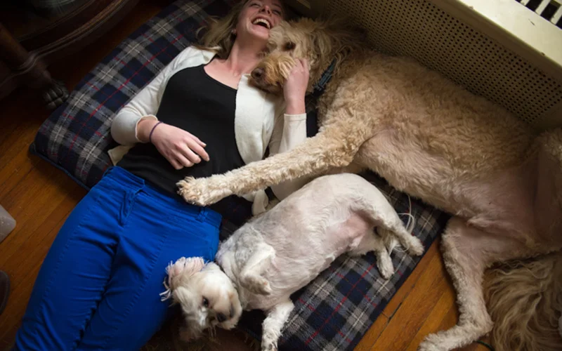 Mounting evidence shows that dogs are better at helping you through stressful times than other humans are.