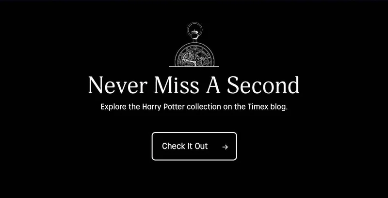 Check It Out - Timex