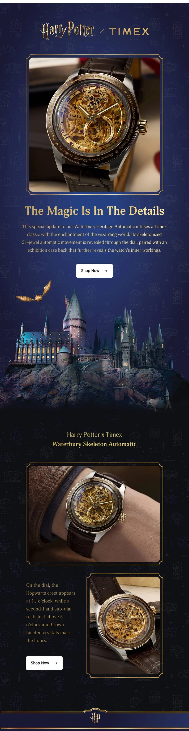Shop All (Harry Potter x Timex Waterbury Skeleton Automatic) - Timex